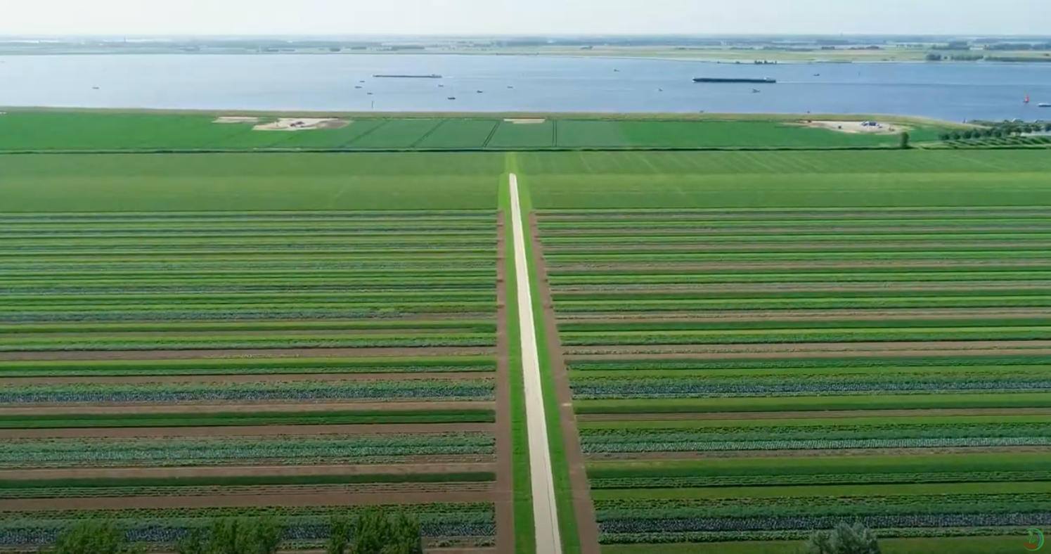 Strokenteelt Zomer 2021