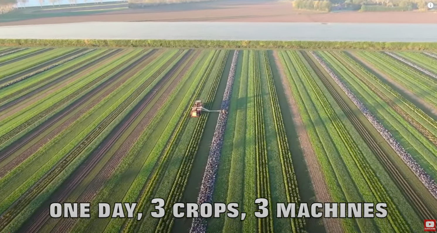 Strip Farming