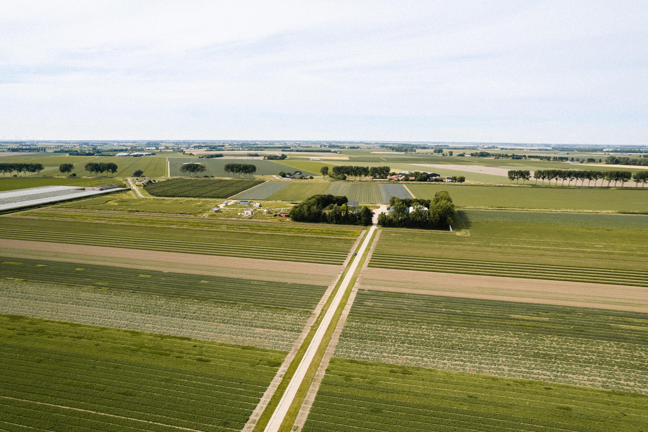 strokenteelt BI-JOVIRA